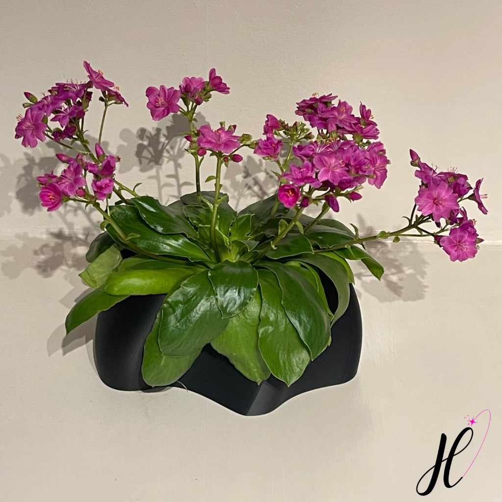 Happy Hegepuz Design